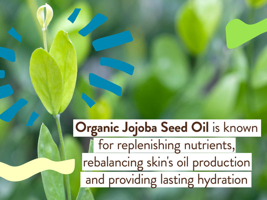 Babo Botanicals Daily Sheer Mineral Face Sunscreen Lotion SPF 40, Fragrance Free, 1.7 Fl Oz